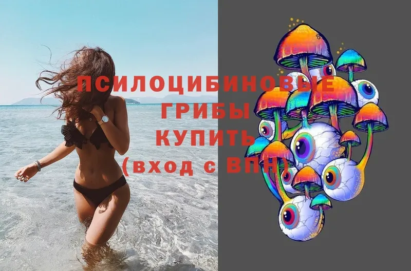 Псилоцибиновые грибы Magic Shrooms Алексеевка